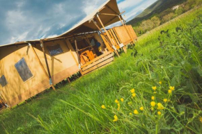 Camping et Lodges de Coucouzac